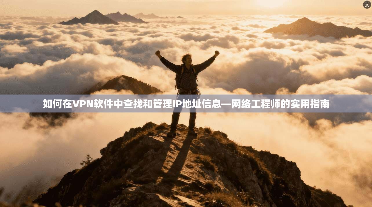如何在VPN软件中查找和管理IP地址信息—网络工程师的实用指南