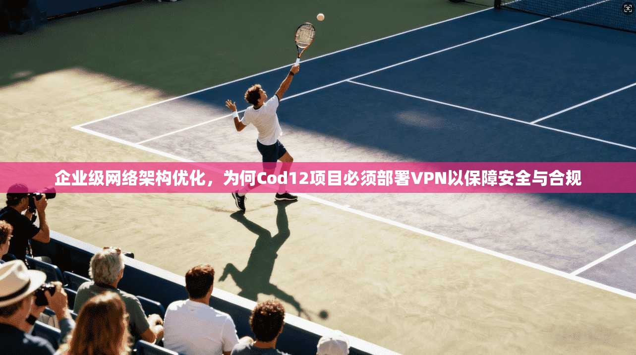 企业级网络架构优化，为何Cod12项目必须部署VPN以保障安全与合规