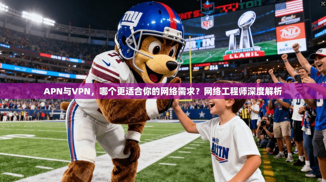 APN与VPN，哪个更适合你的网络需求？网络工程师深度解析