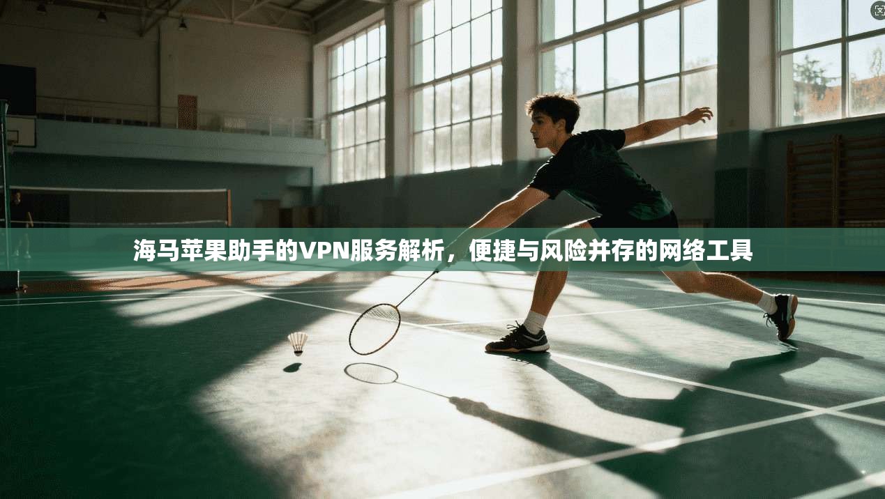 海马苹果助手的VPN服务解析，便捷与风险并存的网络工具