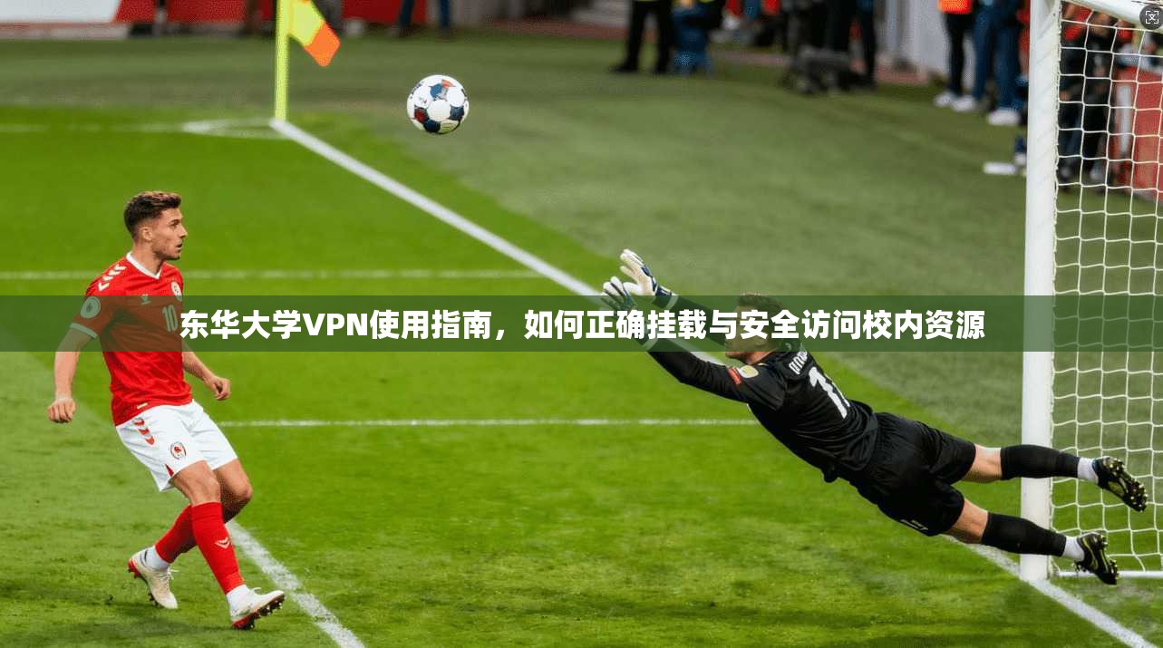 东华大学VPN使用指南，如何正确挂载与安全访问校内资源