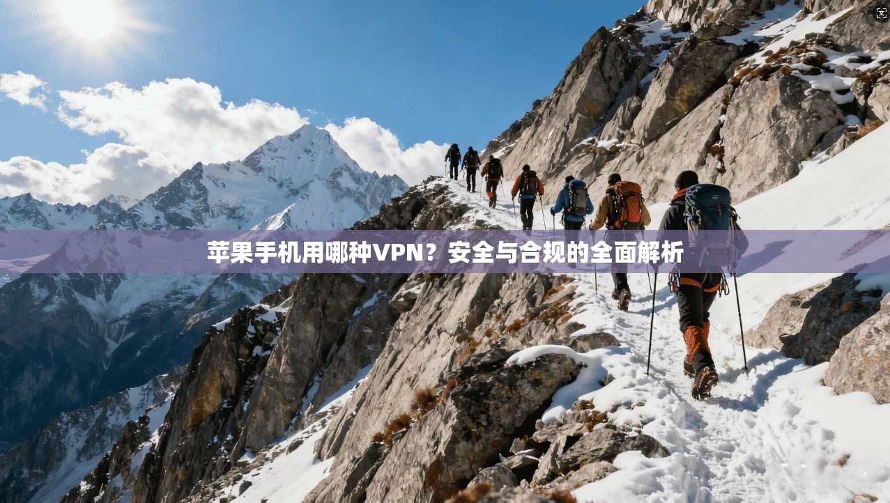 苹果手机用哪种VPN？安全与合规的全面解析