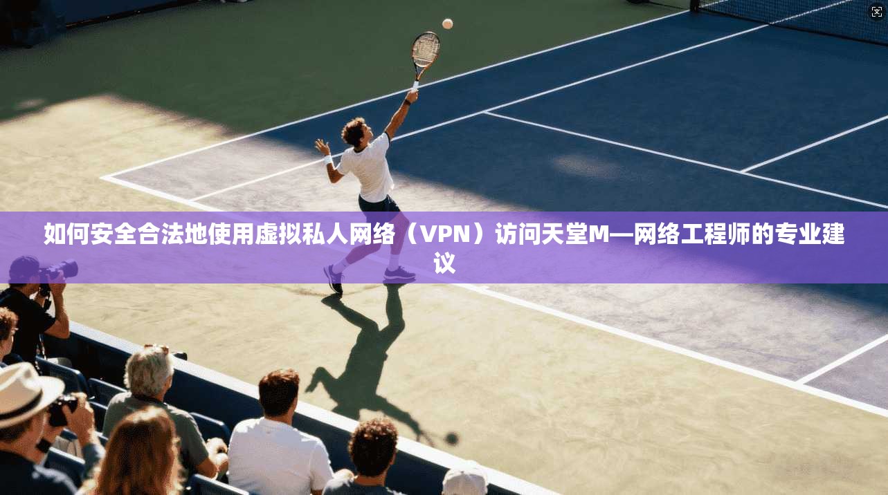 如何安全合法地使用虚拟私人网络（VPN）访问天堂M—网络工程师的专业建议