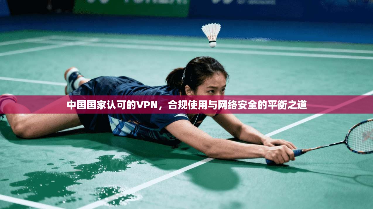 中国国家认可的VPN，合规使用与网络安全的平衡之道