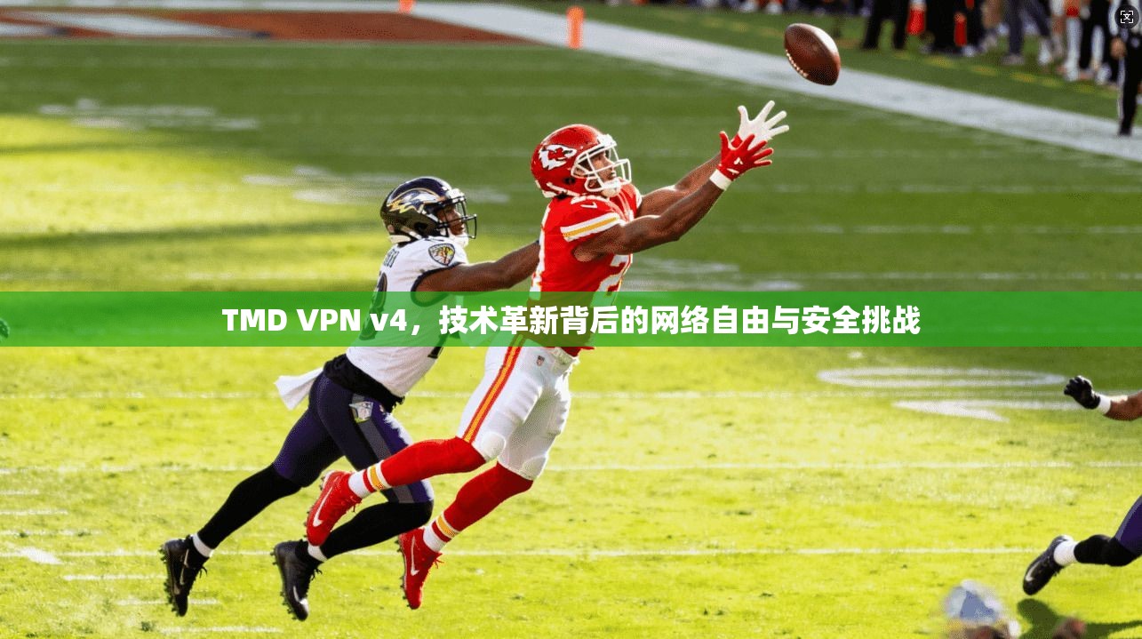 TMD VPN v4，技术革新背后的网络自由与安全挑战