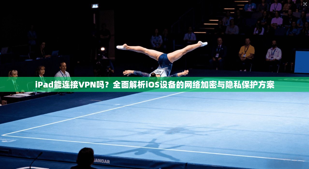iPad能连接VPN吗？全面解析iOS设备的网络加密与隐私保护方案