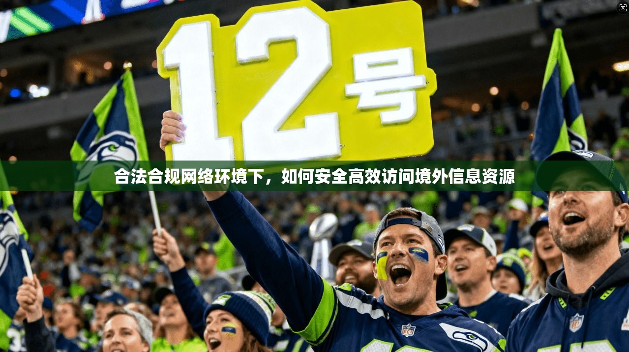 合法合规网络环境下，如何安全高效访问境外信息资源