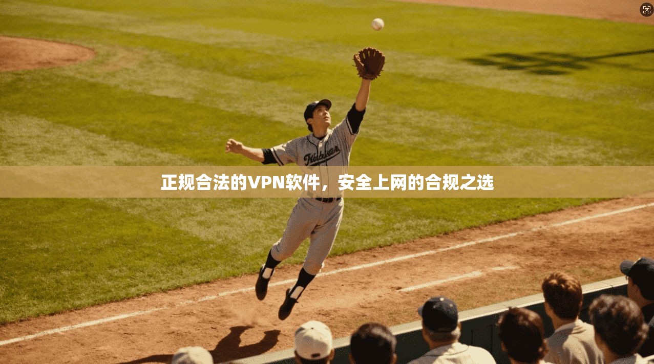 正规合法的VPN软件，安全上网的合规之选