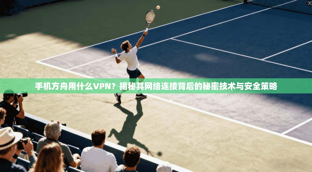 手机方舟用什么VPN？揭秘其网络连接背后的秘密技术与安全策略