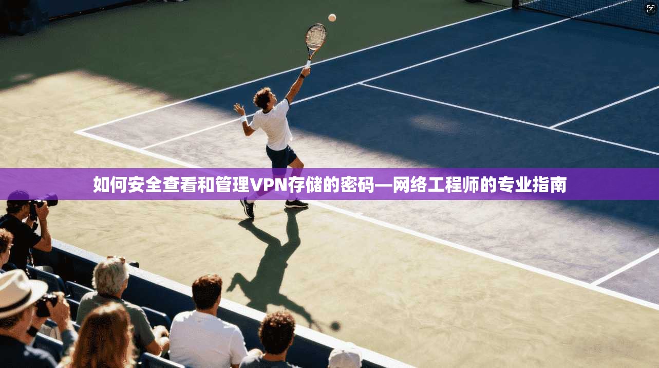 如何安全查看和管理VPN存储的密码—网络工程师的专业指南