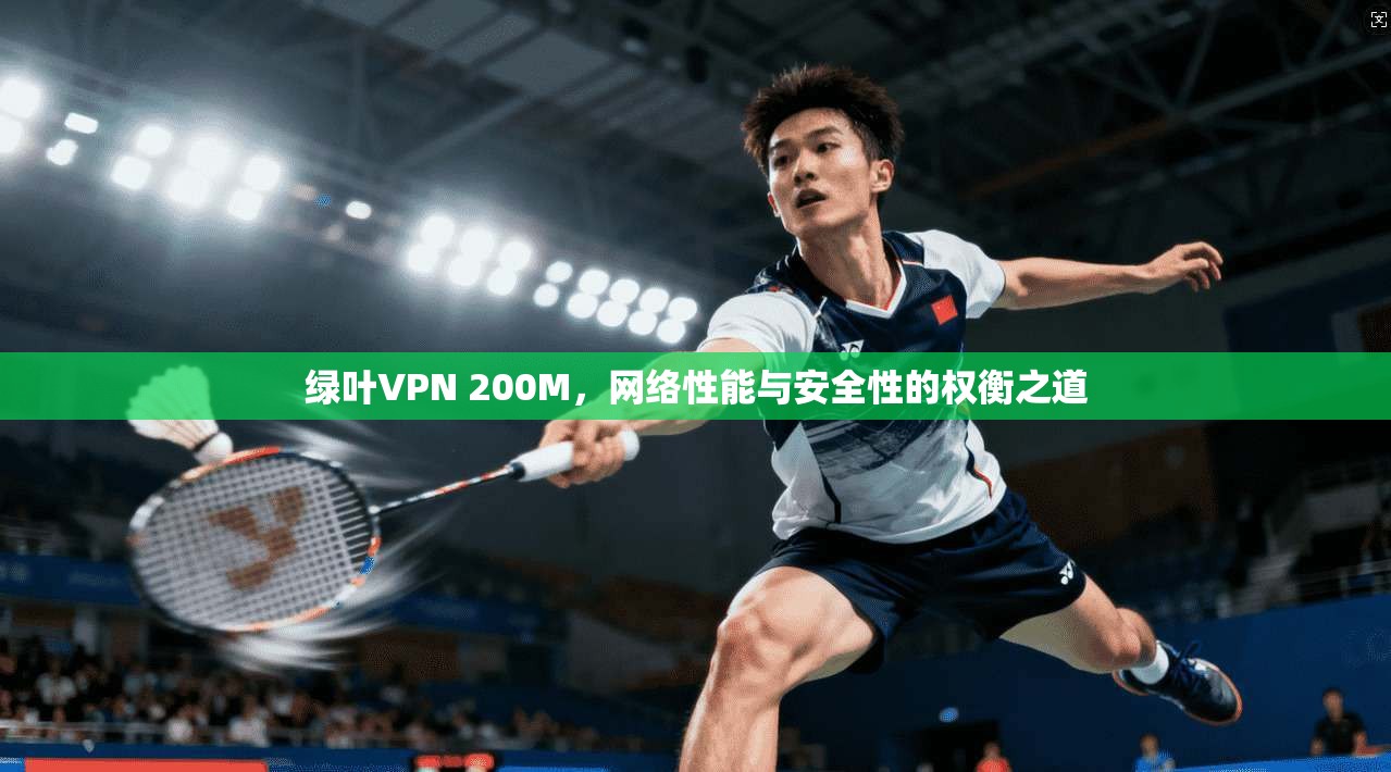 绿叶VPN 200M，网络性能与安全性的权衡之道
