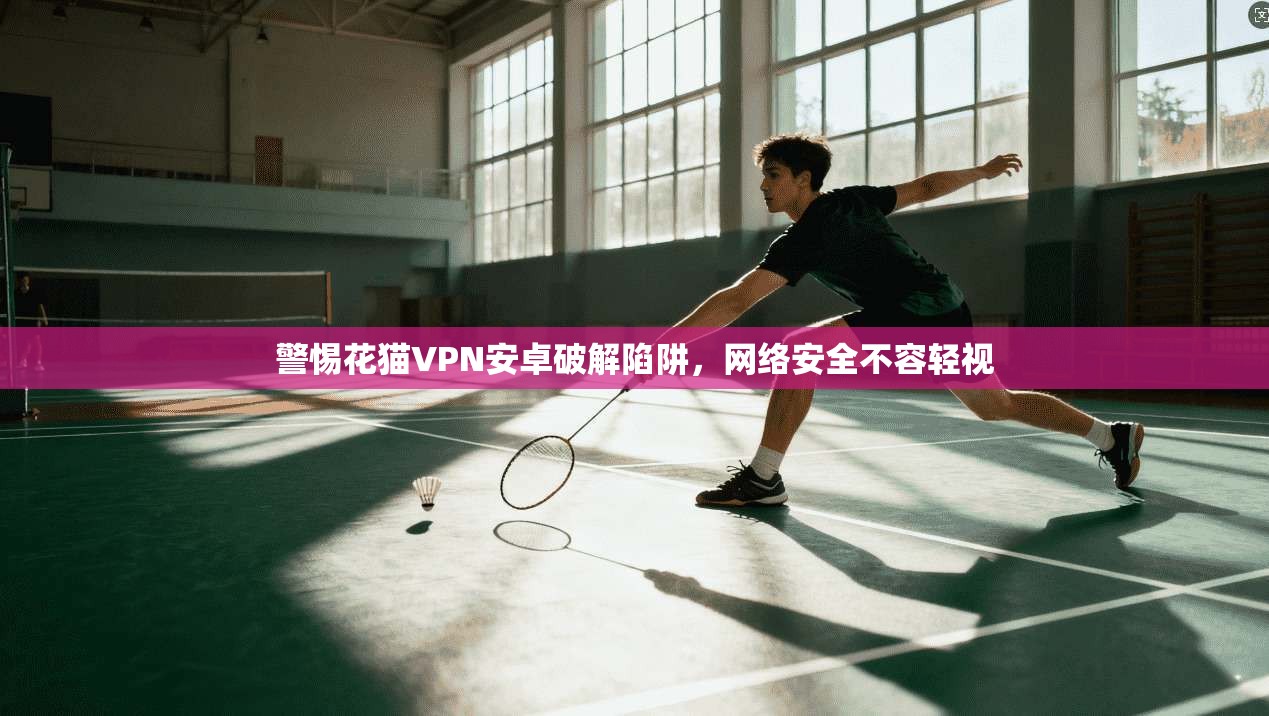 警惕花猫VPN安卓破解陷阱，网络安全不容轻视