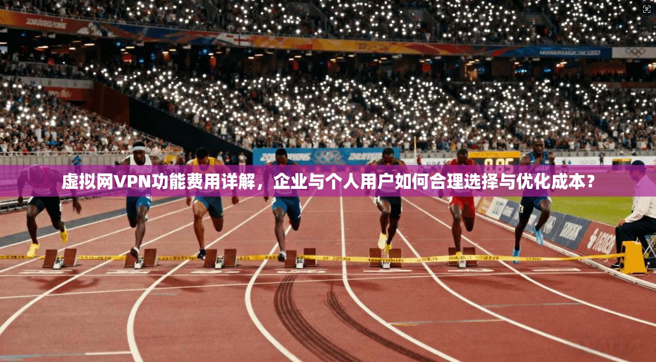 虚拟网VPN功能费用详解，企业与个人用户如何合理选择与优化成本？