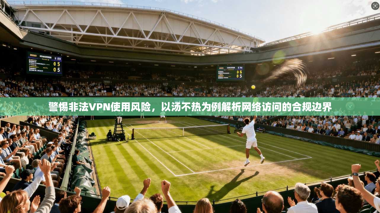 警惕非法VPN使用风险，以汤不热为例解析网络访问的合规边界