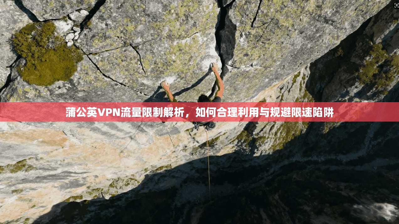 蒲公英VPN流量限制解析，如何合理利用与规避限速陷阱