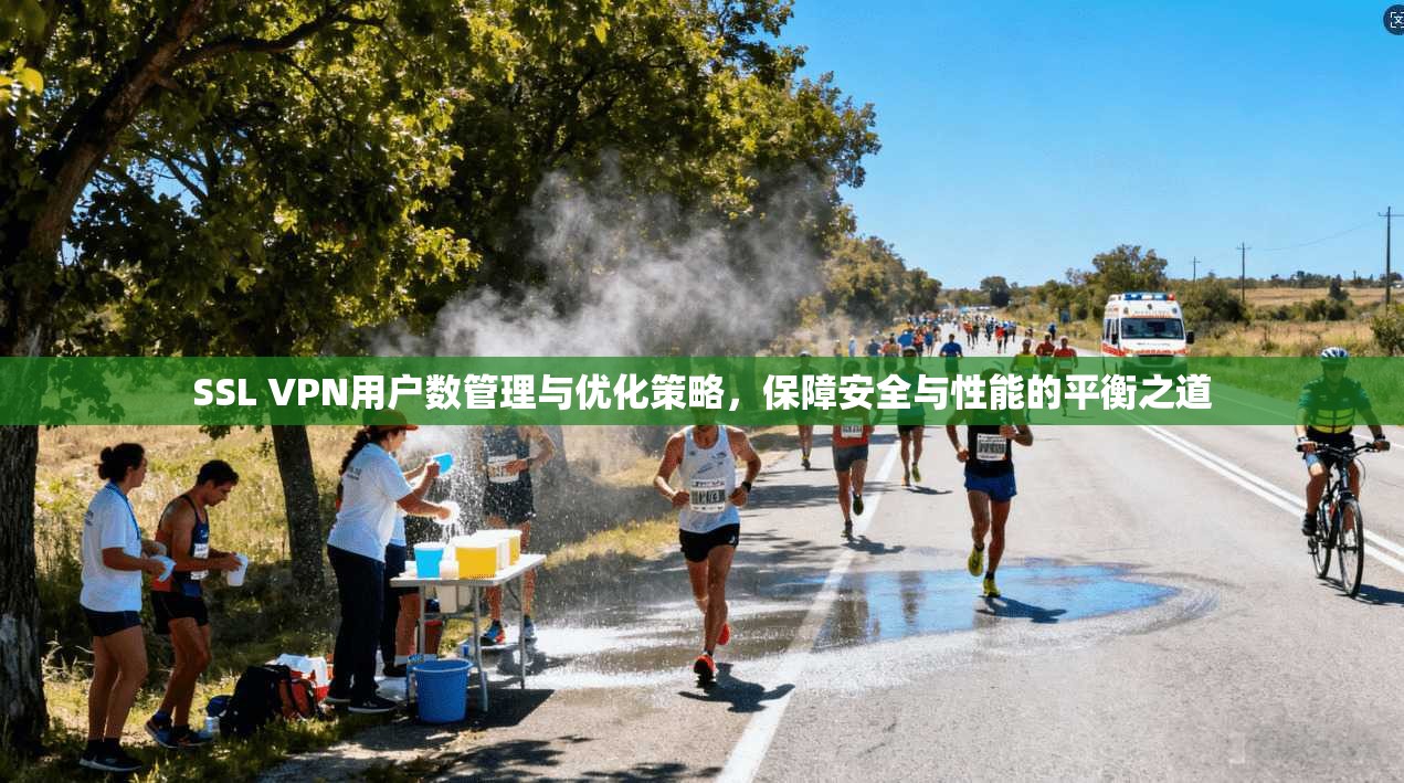 SSL VPN用户数管理与优化策略，保障安全与性能的平衡之道