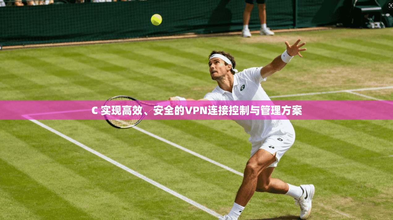 C 实现高效、安全的VPN连接控制与管理方案