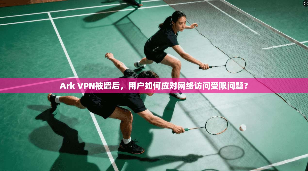 Ark VPN被墙后，用户如何应对网络访问受限问题？