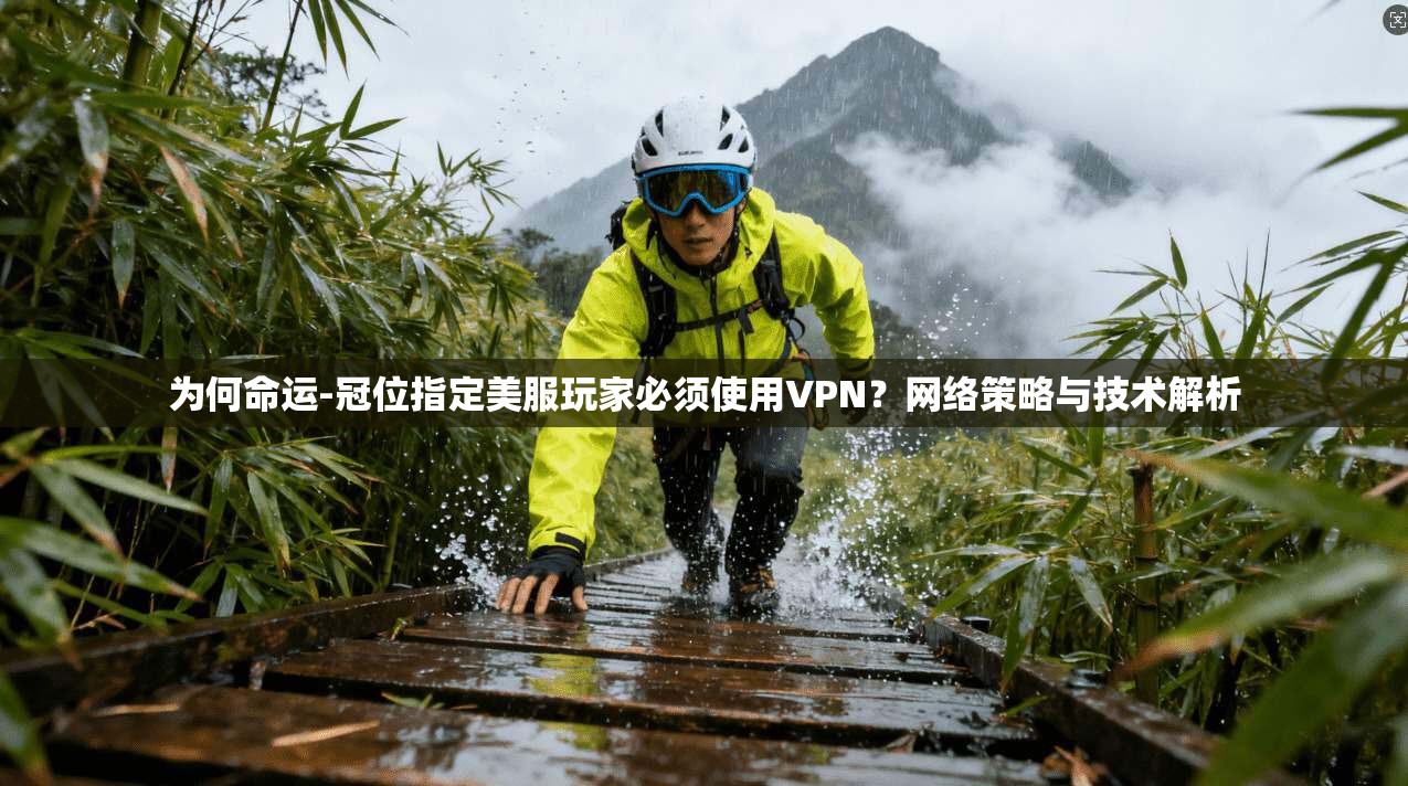 为何命运-冠位指定美服玩家必须使用VPN？网络策略与技术解析