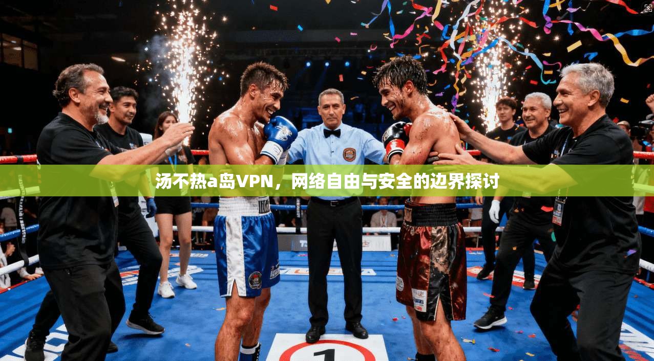 汤不热a岛VPN，网络自由与安全的边界探讨