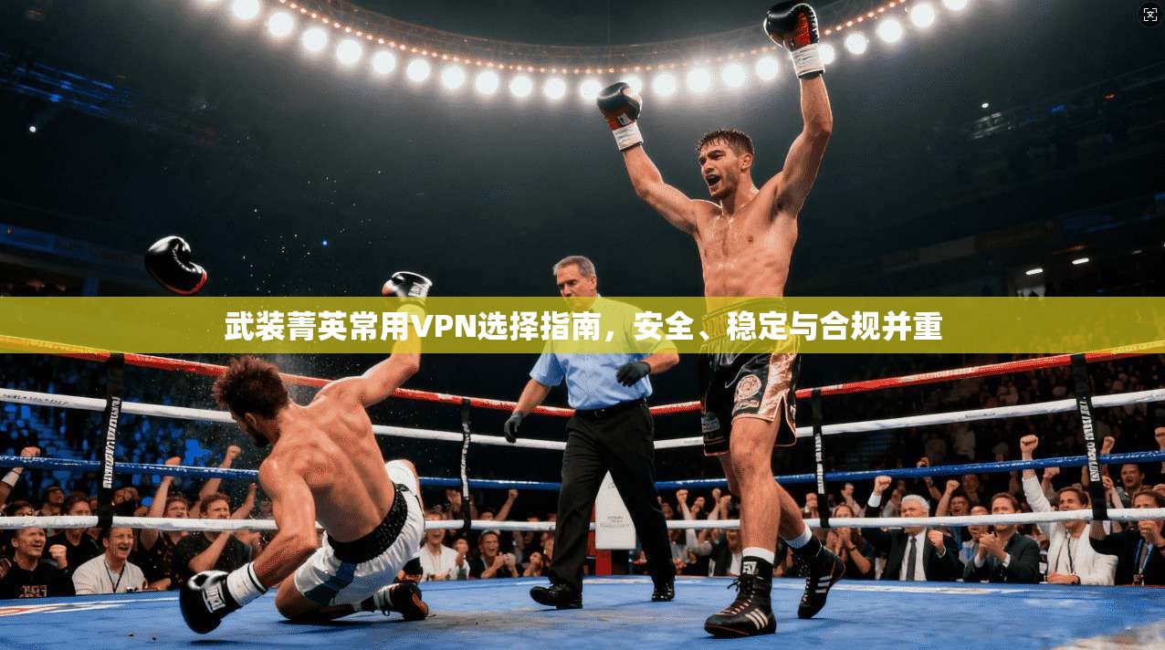 武装菁英常用VPN选择指南，安全、稳定与合规并重