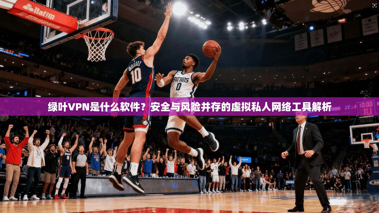 绿叶VPN是什么软件？安全与风险并存的虚拟私人网络工具解析