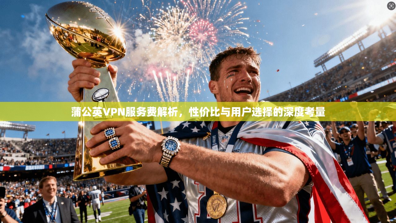 蒲公英VPN服务费解析，性价比与用户选择的深度考量