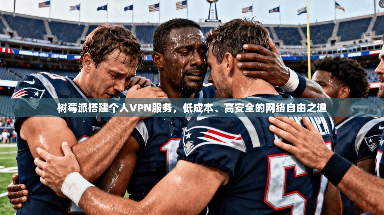 树莓派搭建个人VPN服务，低成本、高安全的网络自由之道