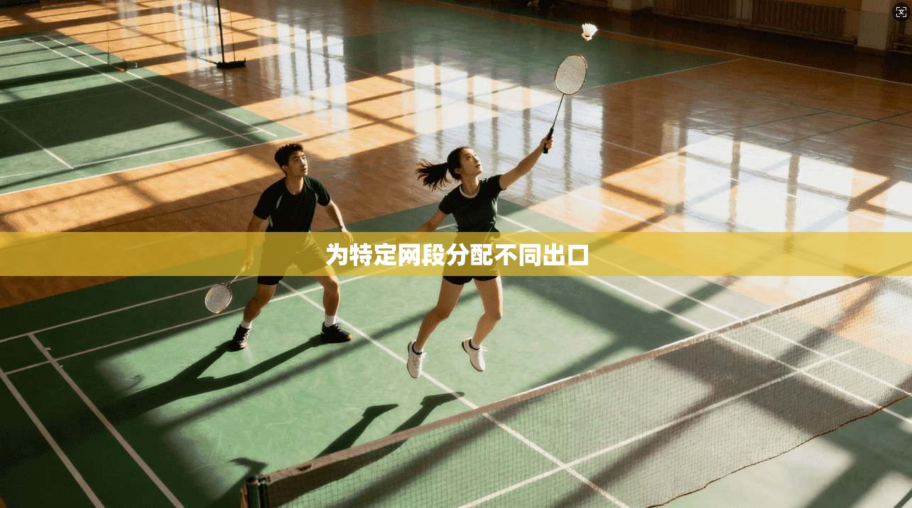 为特定网段分配不同出口