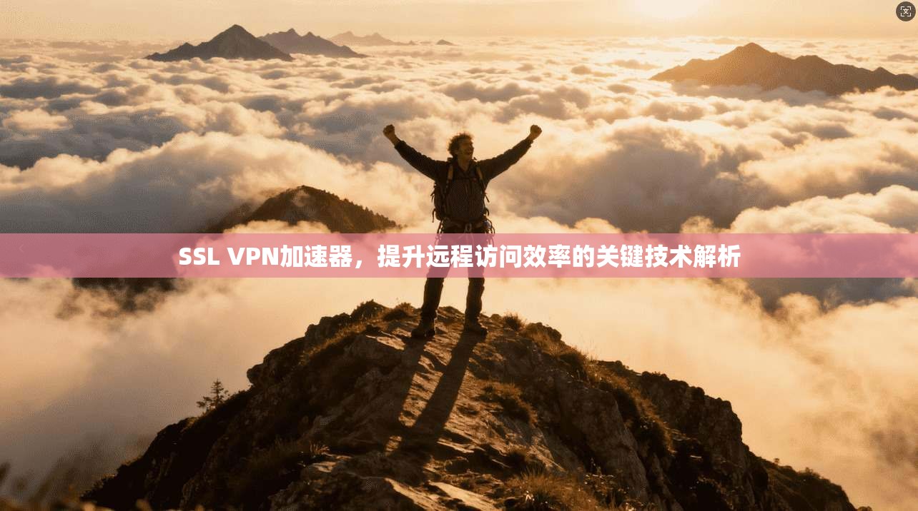 SSL VPN加速器，提升远程访问效率的关键技术解析