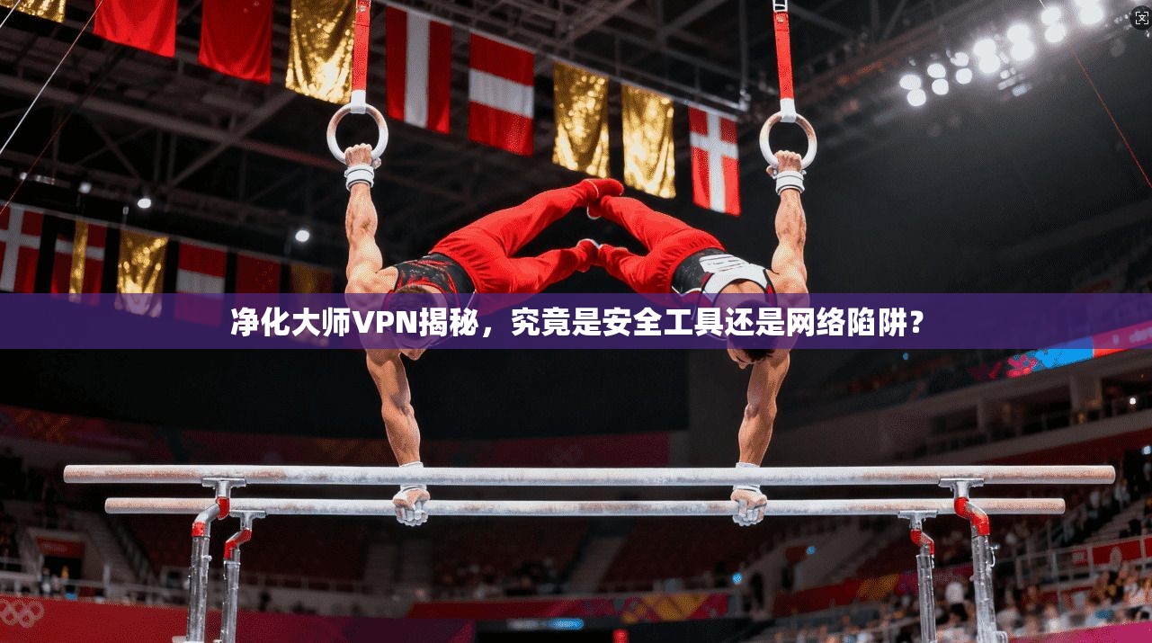 净化大师VPN揭秘，究竟是安全工具还是网络陷阱？