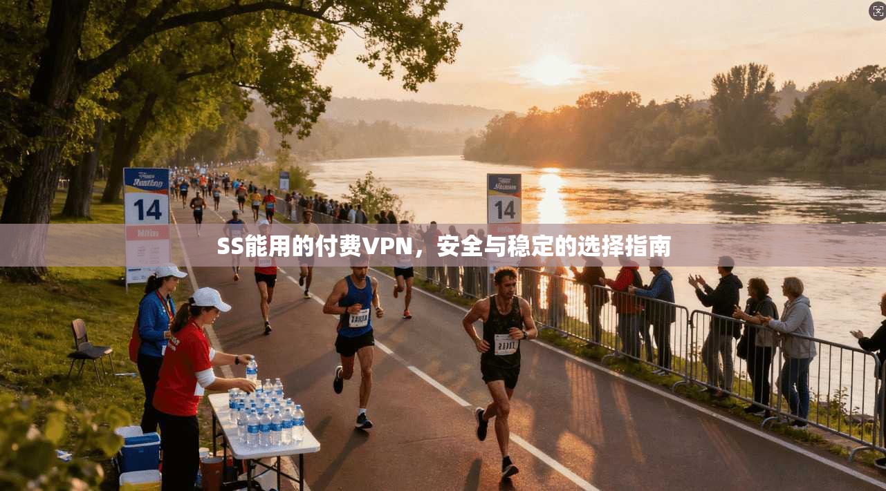 SS能用的付费VPN，安全与稳定的选择指南