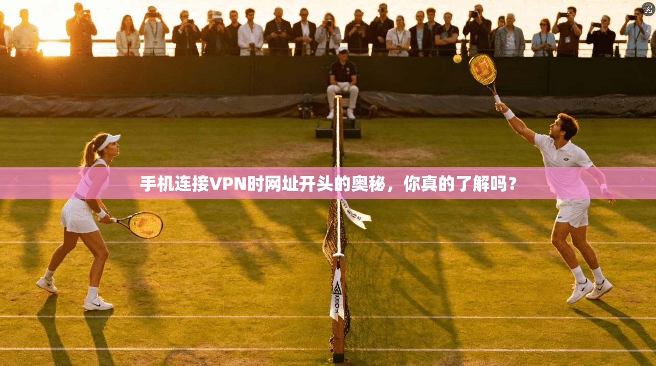 手机连接VPN时网址开头的奥秘，你真的了解吗？