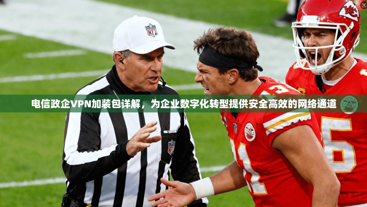 电信政企VPN加装包详解，为企业数字化转型提供安全高效的网络通道