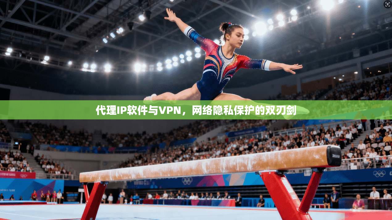 代理IP软件与VPN，网络隐私保护的双刃剑