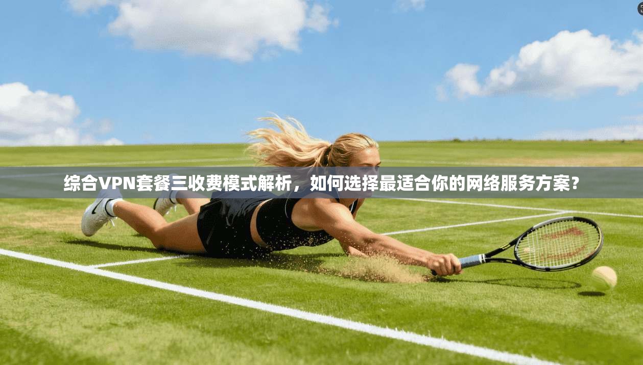 综合VPN套餐三收费模式解析，如何选择最适合你的网络服务方案？