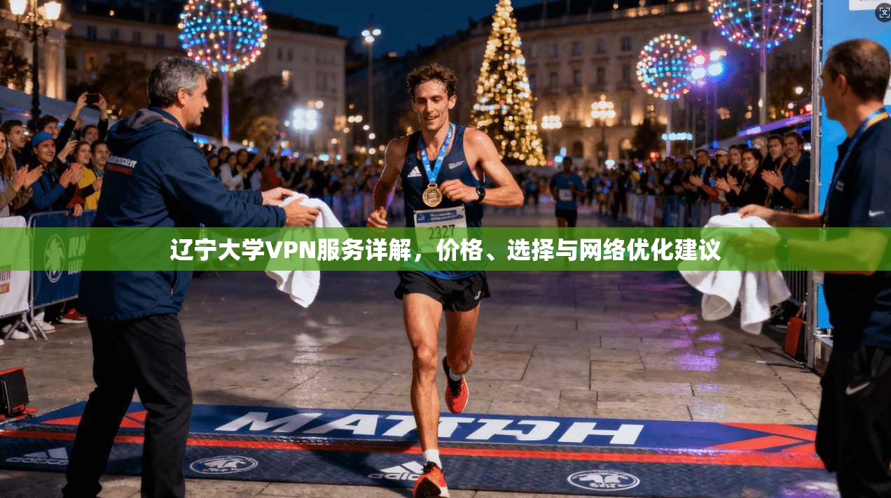 辽宁大学VPN服务详解，价格、选择与网络优化建议