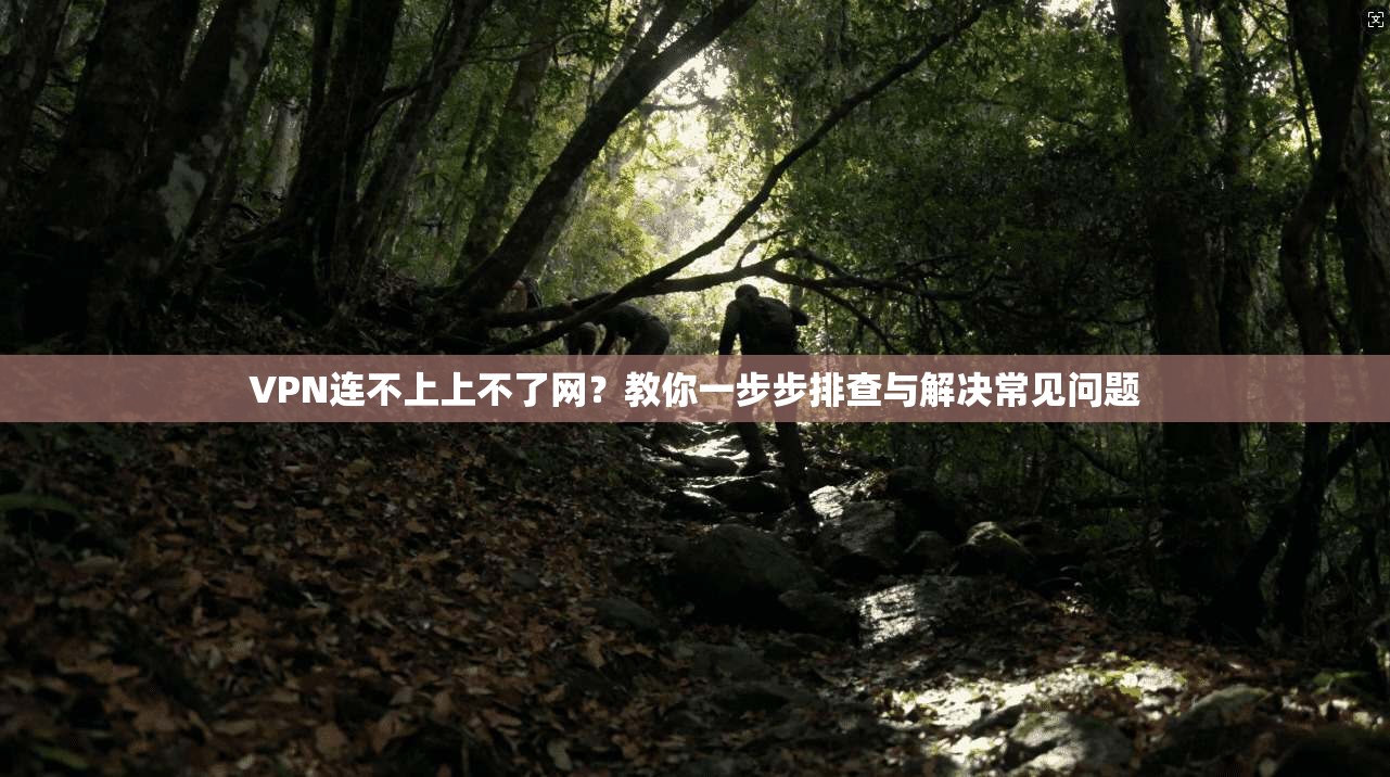 VPN连不上上不了网？教你一步步排查与解决常见问题