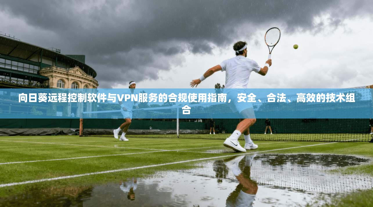 向日葵远程控制软件与VPN服务的合规使用指南，安全、合法、高效的技术组合
