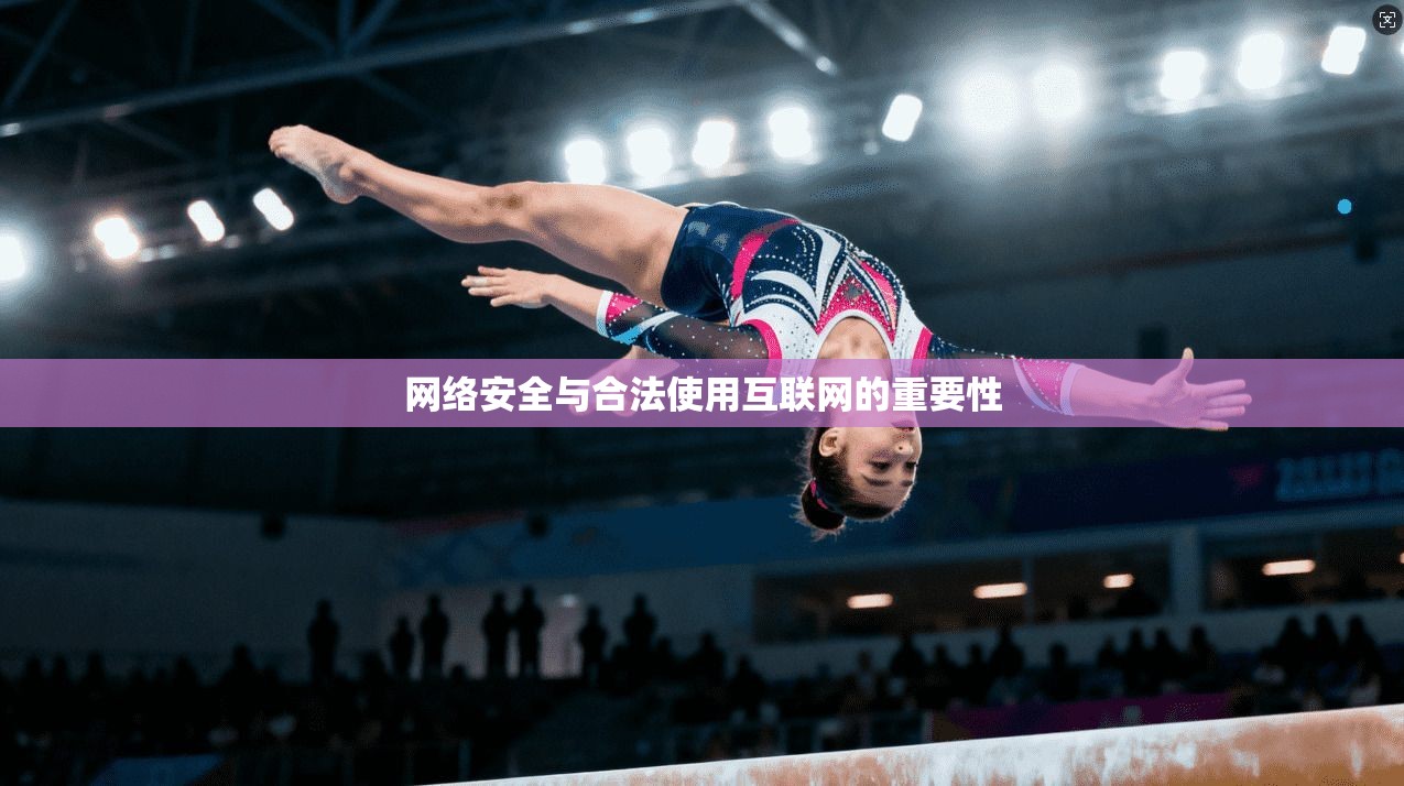 网络安全与合法使用互联网的重要性
