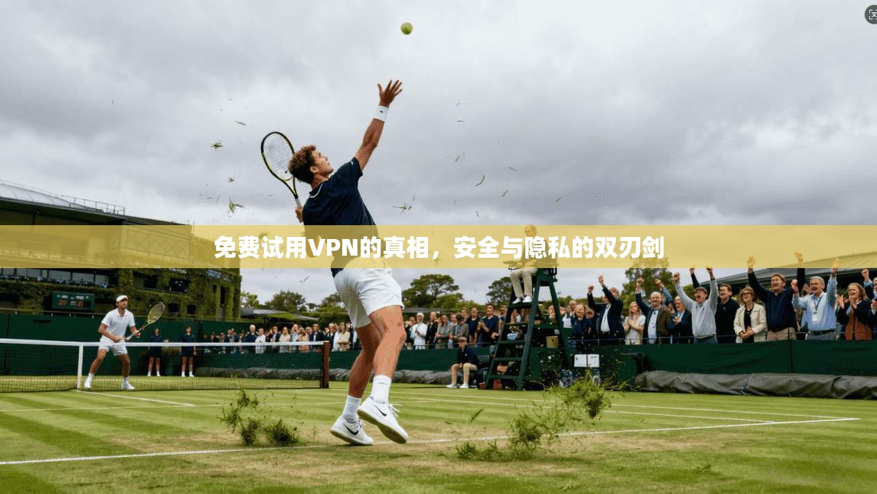 免费试用VPN的真相，安全与隐私的双刃剑