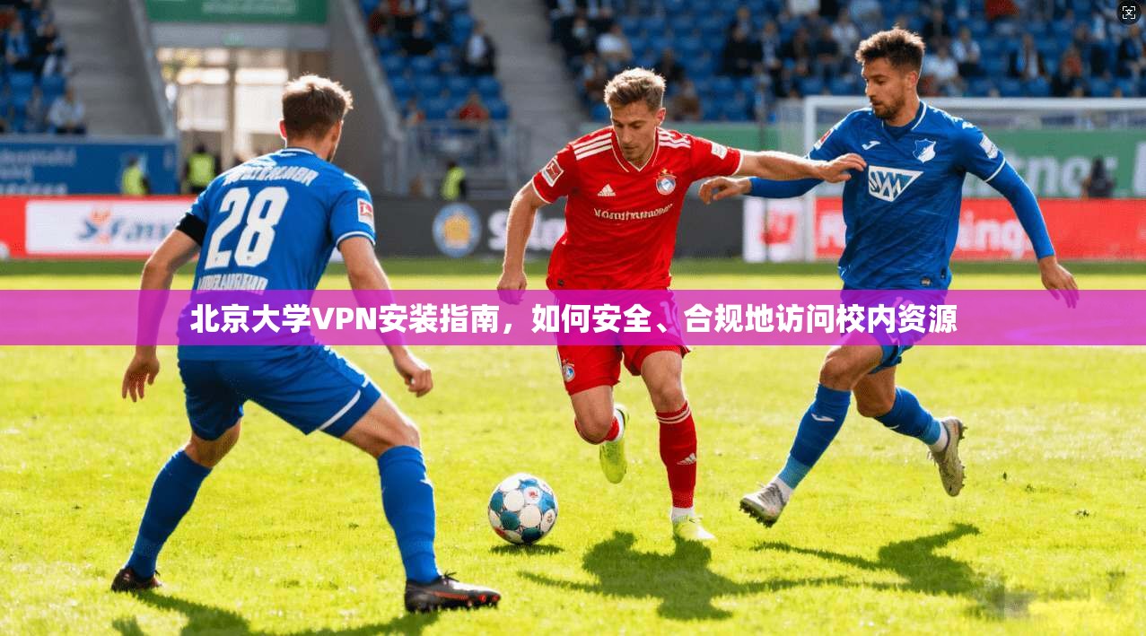 北京大学VPN安装指南，如何安全、合规地访问校内资源