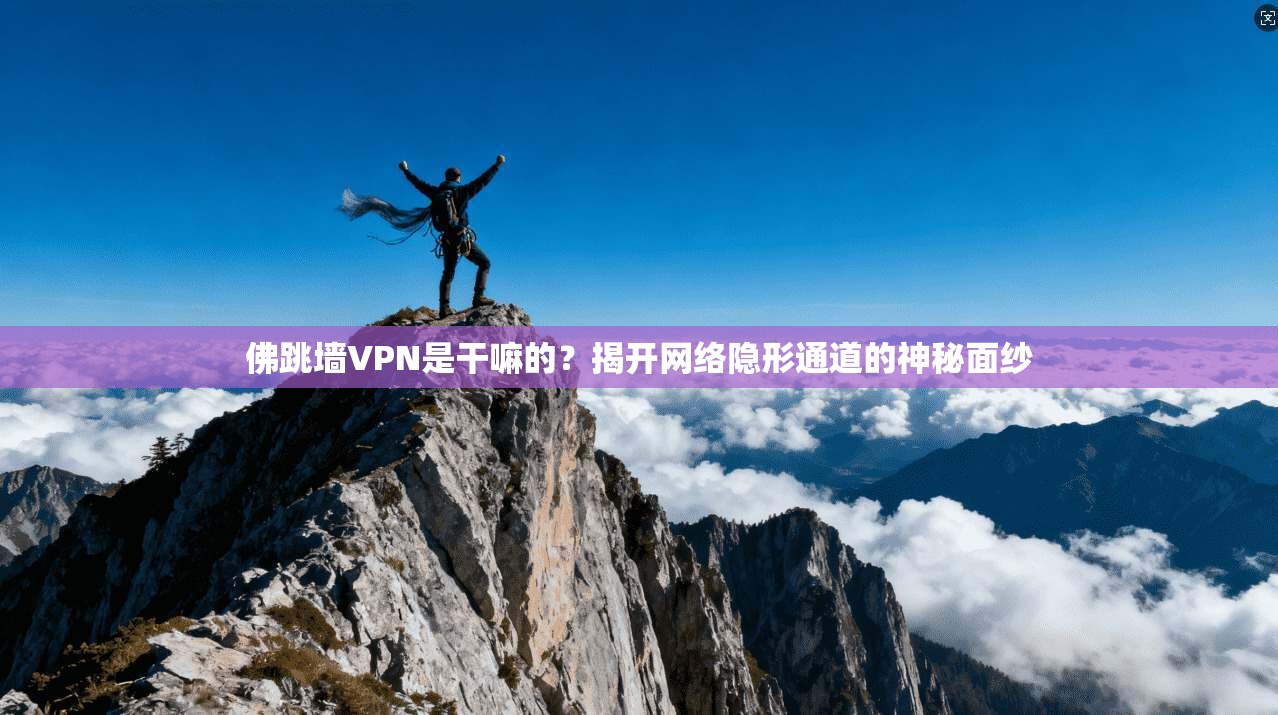 佛跳墙VPN是干嘛的？揭开网络隐形通道的神秘面纱
