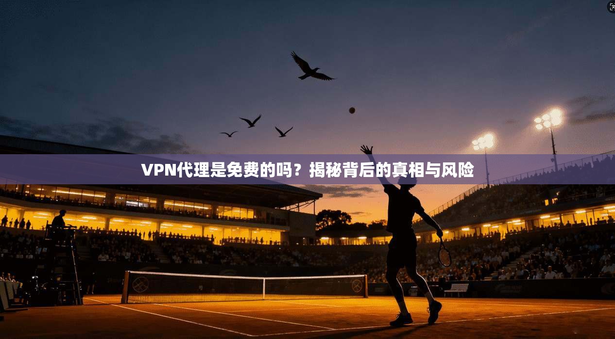VPN代理是免费的吗?揭秘背后的真相与风险 VPN代理是免费的吗?揭秘背后的真相与风险