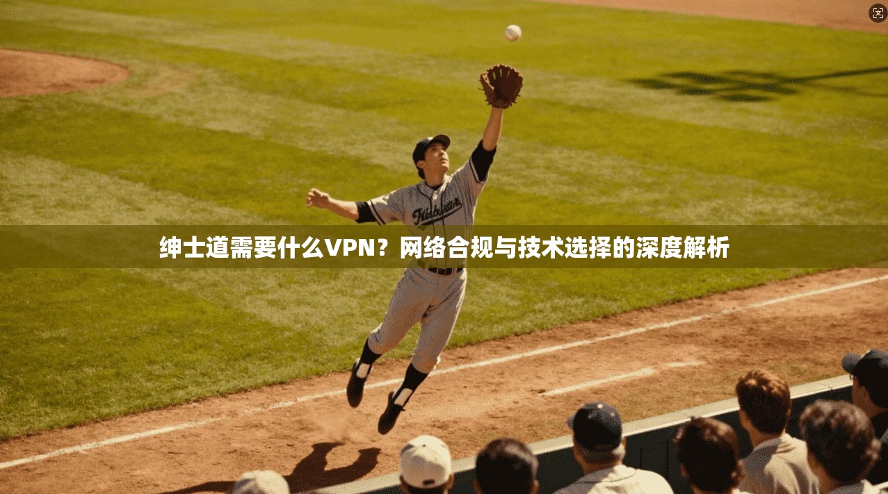 绅士道需要什么VPN？网络合规与技术选择的深度解析