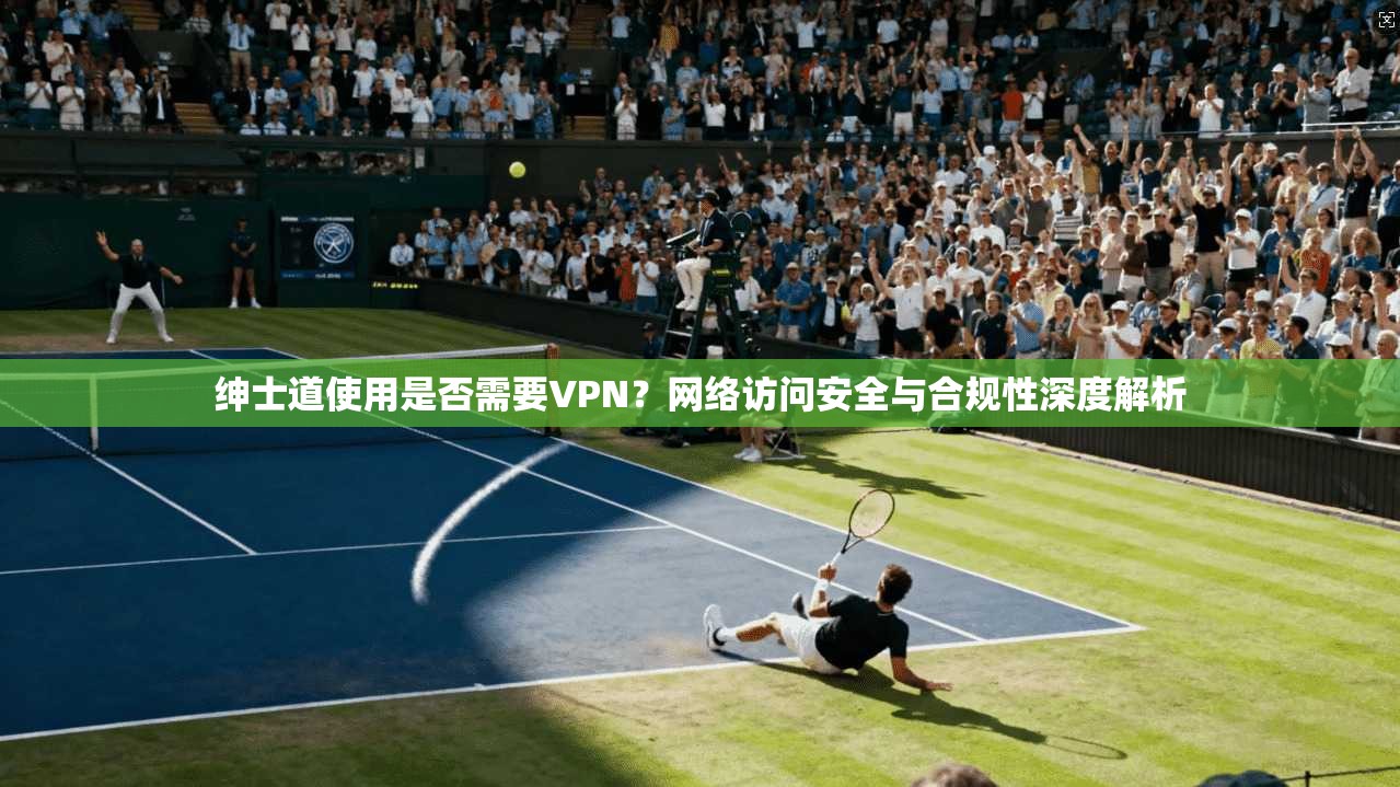 绅士道使用是否需要VPN？网络访问安全与合规性深度解析