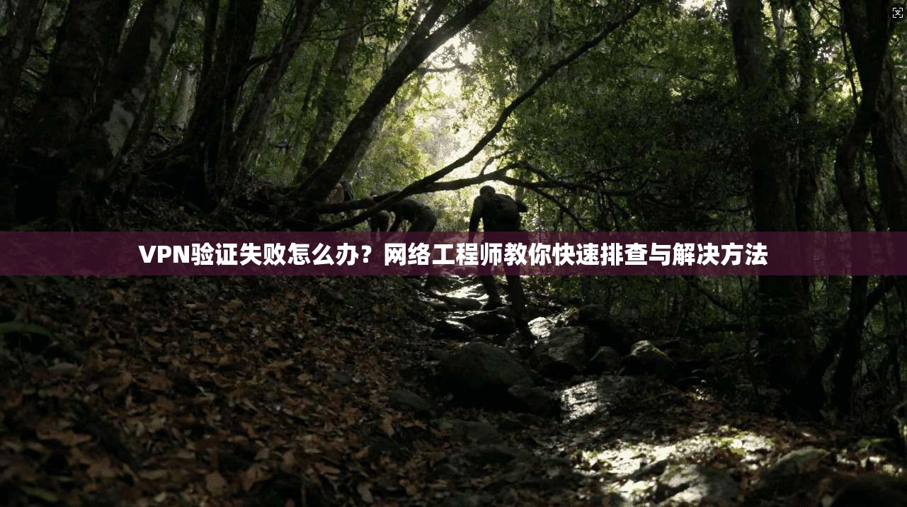 VPN验证失败怎么办？网络工程师教你快速排查与解决方法