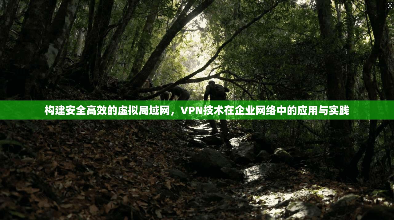 构建安全高效的虚拟局域网,VPN技术在企业网络中的应用与实践 构建安全高效的虚拟局域网,VPN技术在企业网络中的应用与实践