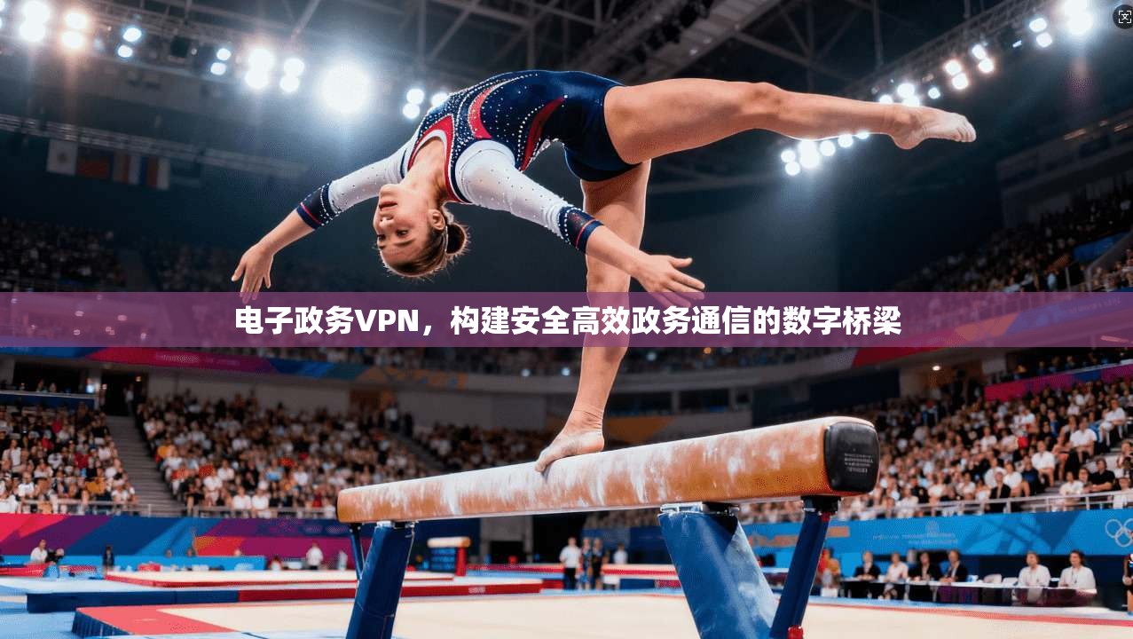 电子政务VPN，构建安全高效政务通信的数字桥梁