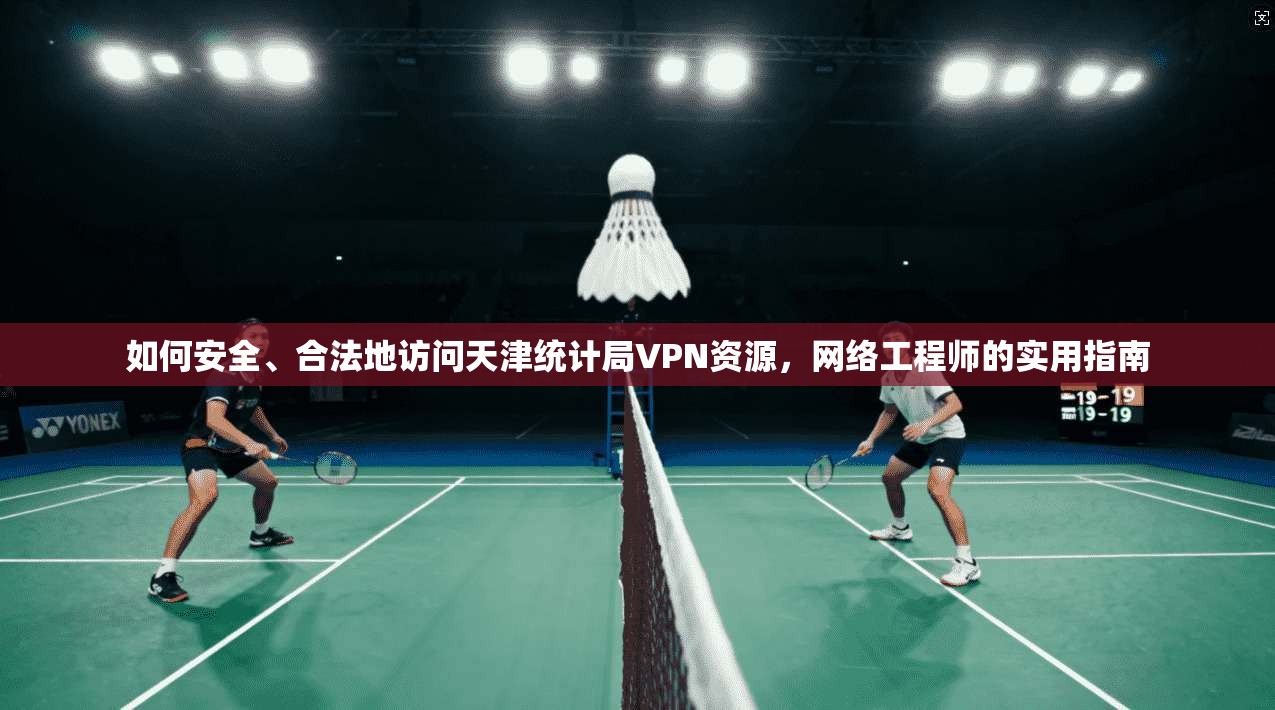 如何安全、合法地访问天津统计局VPN资源，网络工程师的实用指南